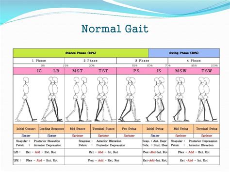 Gait Speed Graph