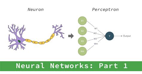 Neural Networks: Creating a Perceptron Model in Python | Circuitrocks