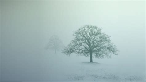 mist, Winter, Trees, Abstract Wallpapers HD / Desktop and Mobile Backgrounds