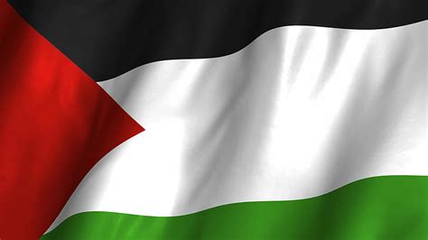 Palestine 1080P, 2K, 4K, 5K HD wallpapers free download | Wallpaper Flare