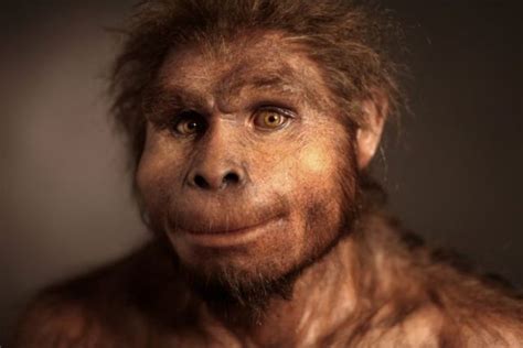 Lifelike Hominid Reconstructions That Are a Look at the Past (16 pics ...