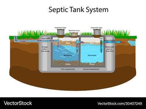 Septic tank diagram Royalty Free Vector Image - VectorStock