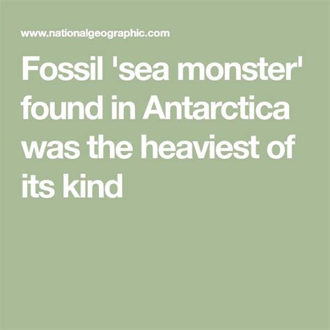 Fossil 'sea monster' found in Antarctica was the heaviest of its kind