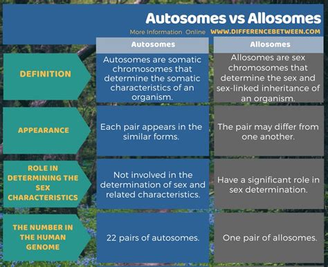 Difference Between Autosomes and Allosomes | Compare the Difference Between Similar Terms