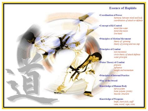 Ancient Art of Hapkido Masters