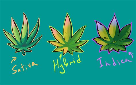 Cannabis sativa, indica and hybrid leaves in graffiti style Digital Art ...