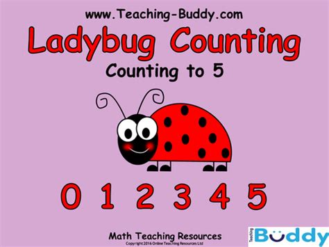 Ladybug Counting | Teaching Resources