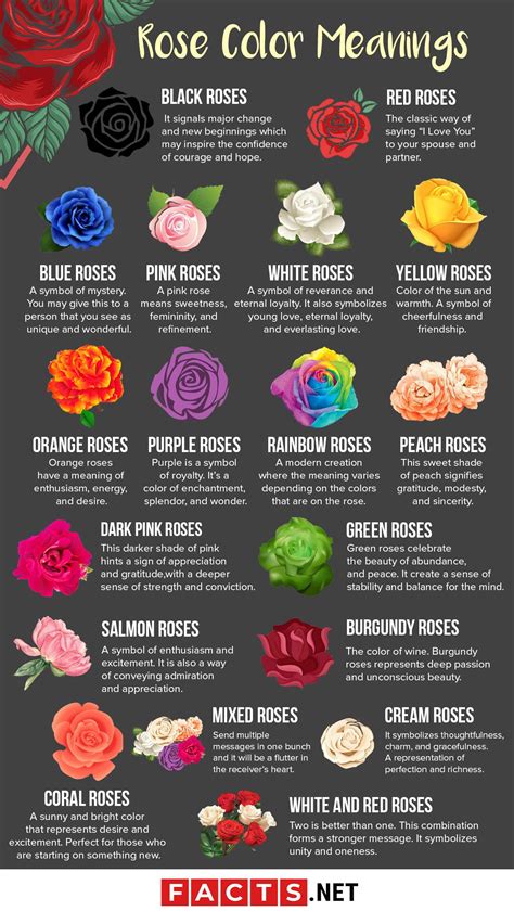 Rose color meanings, Color meanings, Flower meanings