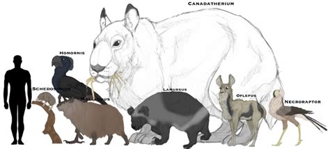 The Canadian Ice Age Animals: Size Comparison by GlazeSugarNavalBlock ...