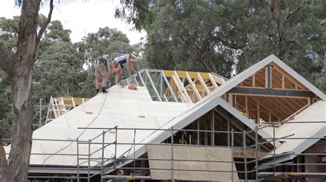 How to Install Plywood Roof Sheathing for the Perfect Roof Shingle Installation - Roof Shingles ...