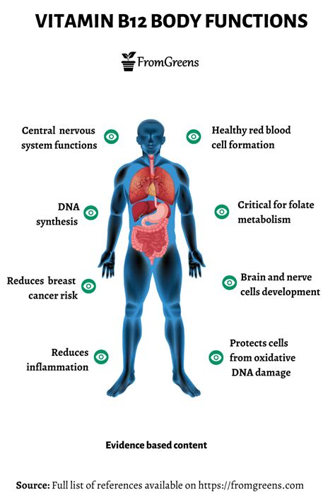 Vitamin B12 Health Benefits - Evidence Based Content