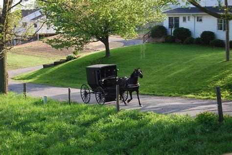 Holmes County Ohio Amish Tourist Attractions | From the porc… | Flickr - Photo Sharing!