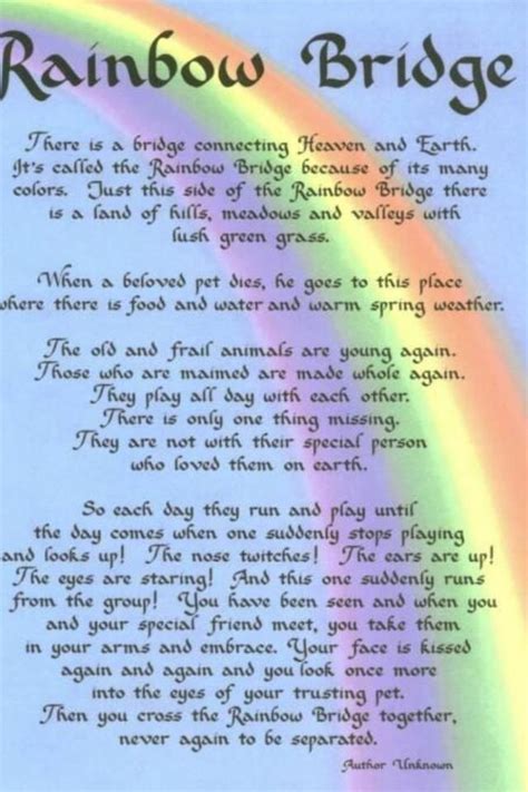 Rainbow Bridge Poem Printable