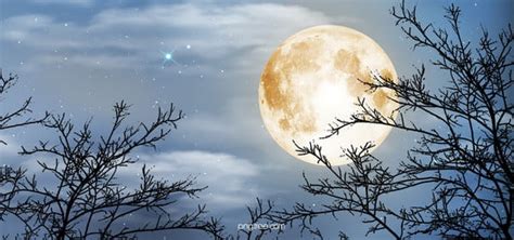 Top-Class full moon background Examples for Your… – Find Art Out For ...