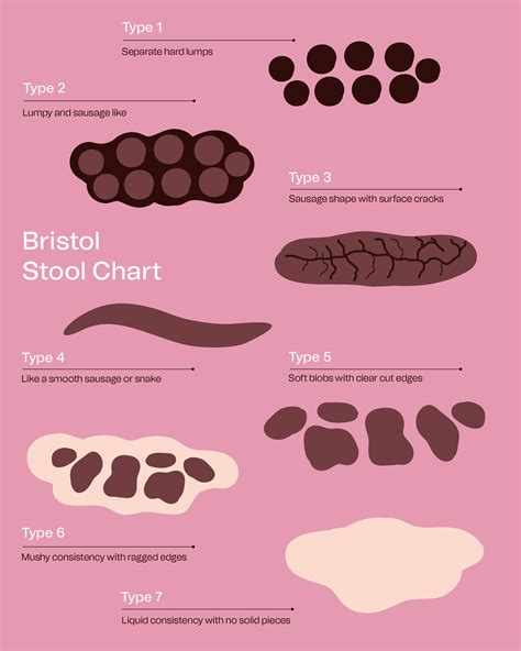 Identifying Types Of Poop With The Bristol Stool Chart And More | Porn Sex Picture