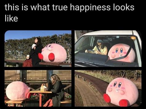 A big fat Kirby is having fun : r/Kirby