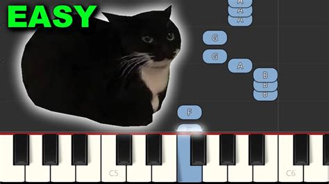 Maxwell The Spinning Cat Meme Song Chords - Chordify