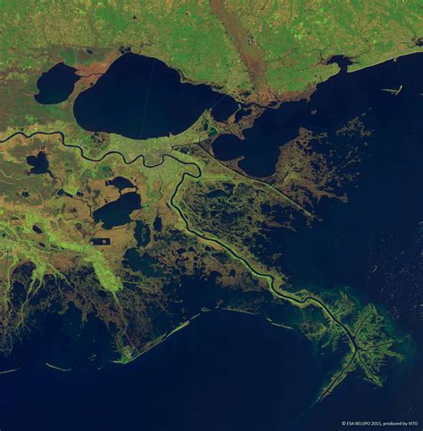 Mississippi River Delta, USA - Content - Earth Online - ESA