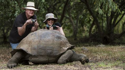 Galapagos Islands Animals and Wildlife, Charles Darwin's inspiration