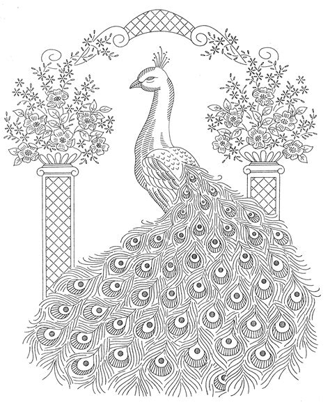 Peacock Drawing Outline For Glass Painting at GetDrawings | Free download