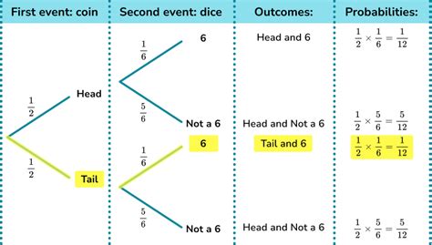 Probability Tree Diagram - GCSE Maths - Steps, Examples & Worksheet