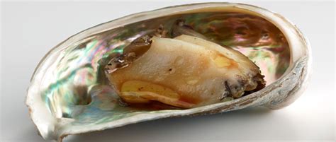 Abalone: The Best And Rarest Seafood In The World?