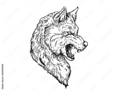 Detail Realistic Hand Drawing Angry Wolf Head Illustration Stock Vector | Adobe Stock