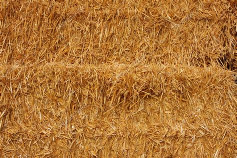 Straw bales Stock Photo by ©Chretien 10312088