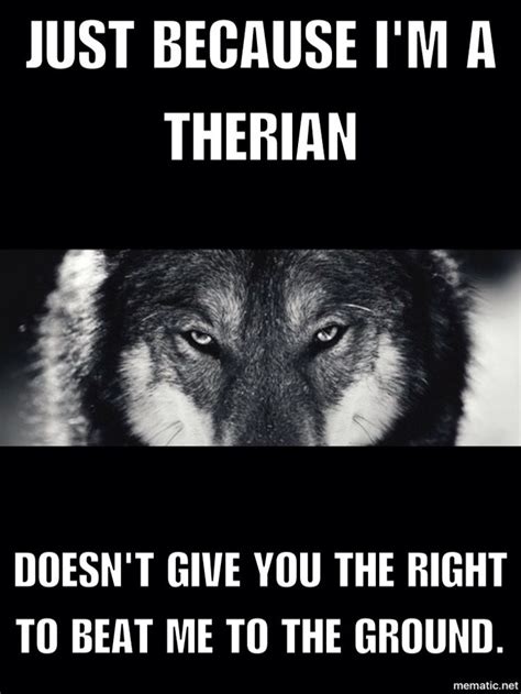 10 best Wolf therian images on Pinterest | A wolf, Bad wolf and Wolves