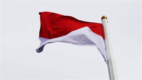 Daftar Susunan Acara Upacara Bendera Hari Pahlawan Lengkap Dari | The Best Porn Website