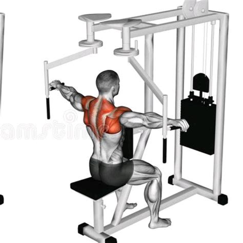 Rear Delt Fly Machine - Exercise How-to - Workout Trainer by Skimble