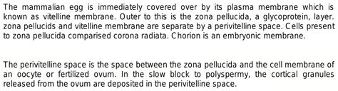 What is Function of Perivitelline space in ovum at the time of fertilisation?