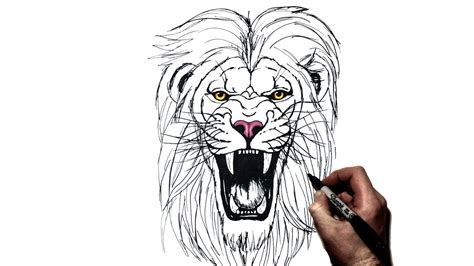 How To Draw a Lion (Roaring) | Step By Step - YouTube