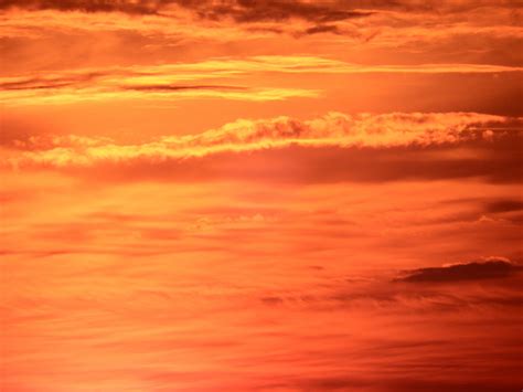 Bright Orange Sunset Sky Free Stock Photo - Public Domain Pictures