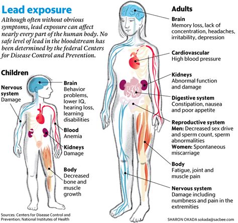 Health Effects of Lead Poisoning | Biddeford, ME