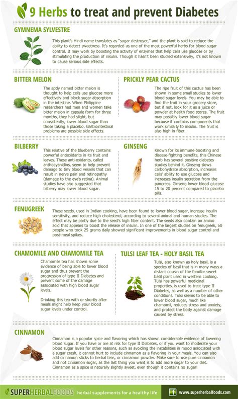 Super Herbal Foods – Natural Remedies - 9 herbs to Treat and Prevent ...