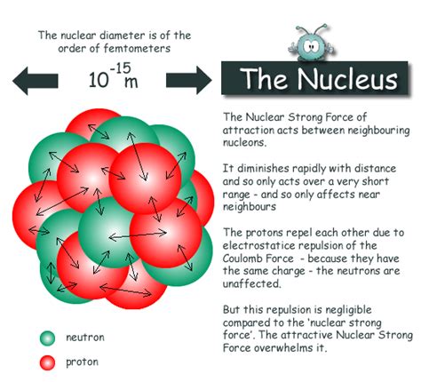 Atomic Nucleus