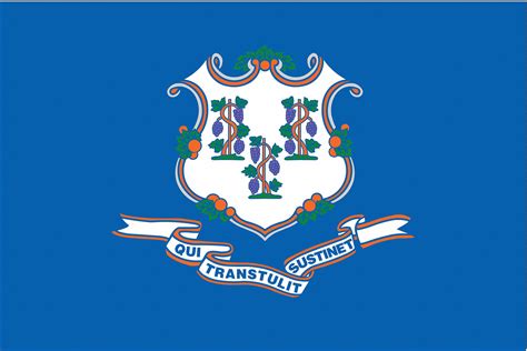 NYLGLO Connecticut State Flag, 3 ftH x 5 ftW, Outdoor - 2NEH7|140760 - Grainger