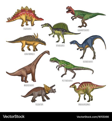 Colored of different dinosaurs types Royalty Free Vector