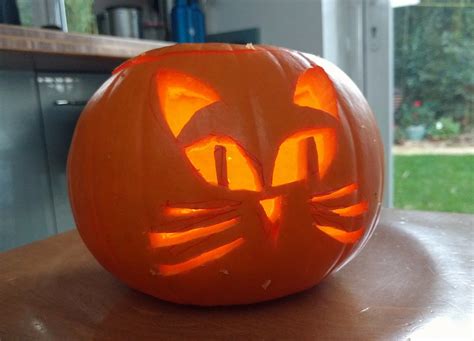 Halloween cat 🎃 | Eljay | Flickr