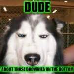 Skeptical Dog Meme Generator - Imgflip