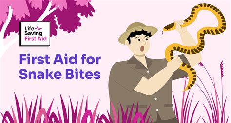 First Aid for snake bites