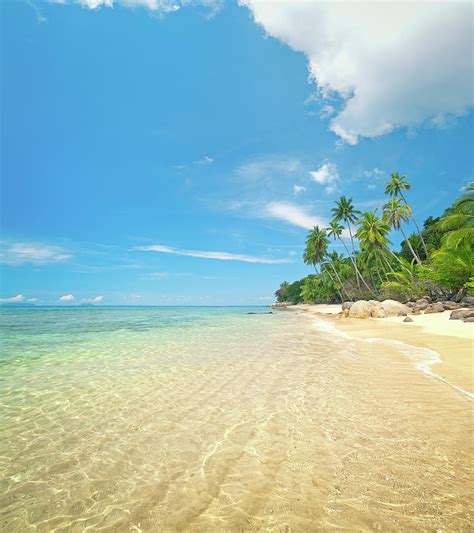 Idyllic Tropical Beach by Georgeclerk