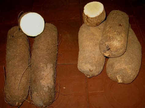 Ghana Yam Recipes