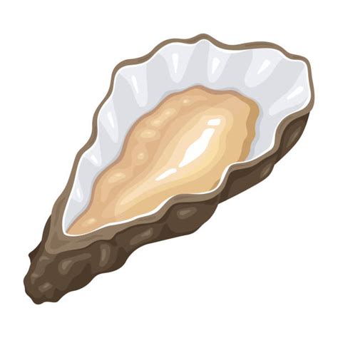 Cartoon Of The Oyster Shell Stock Photos, Pictures & Royalty-Free ...