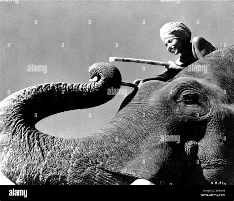 SABU & ELEPHANT ELEPHANT BOY (1937 Stock Photo - Alamy