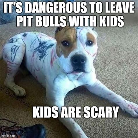 Funny Pitbull Memes