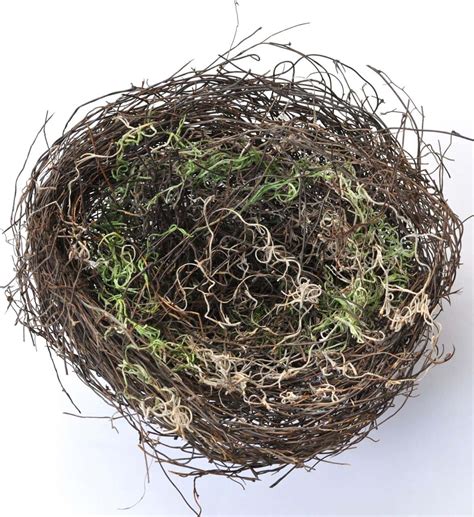 DIY Bird Nest - Make Life Lovely