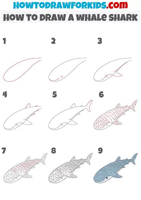 How to Draw a Whale Shark - Easy Drawing Tutorial For Kids | Whale shark, Shark drawing, Shark ...