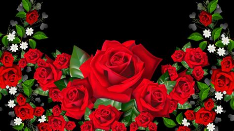 3d fondos de pantalla hd flores rosa - rose wallpaper hd - 1920x1080 ...